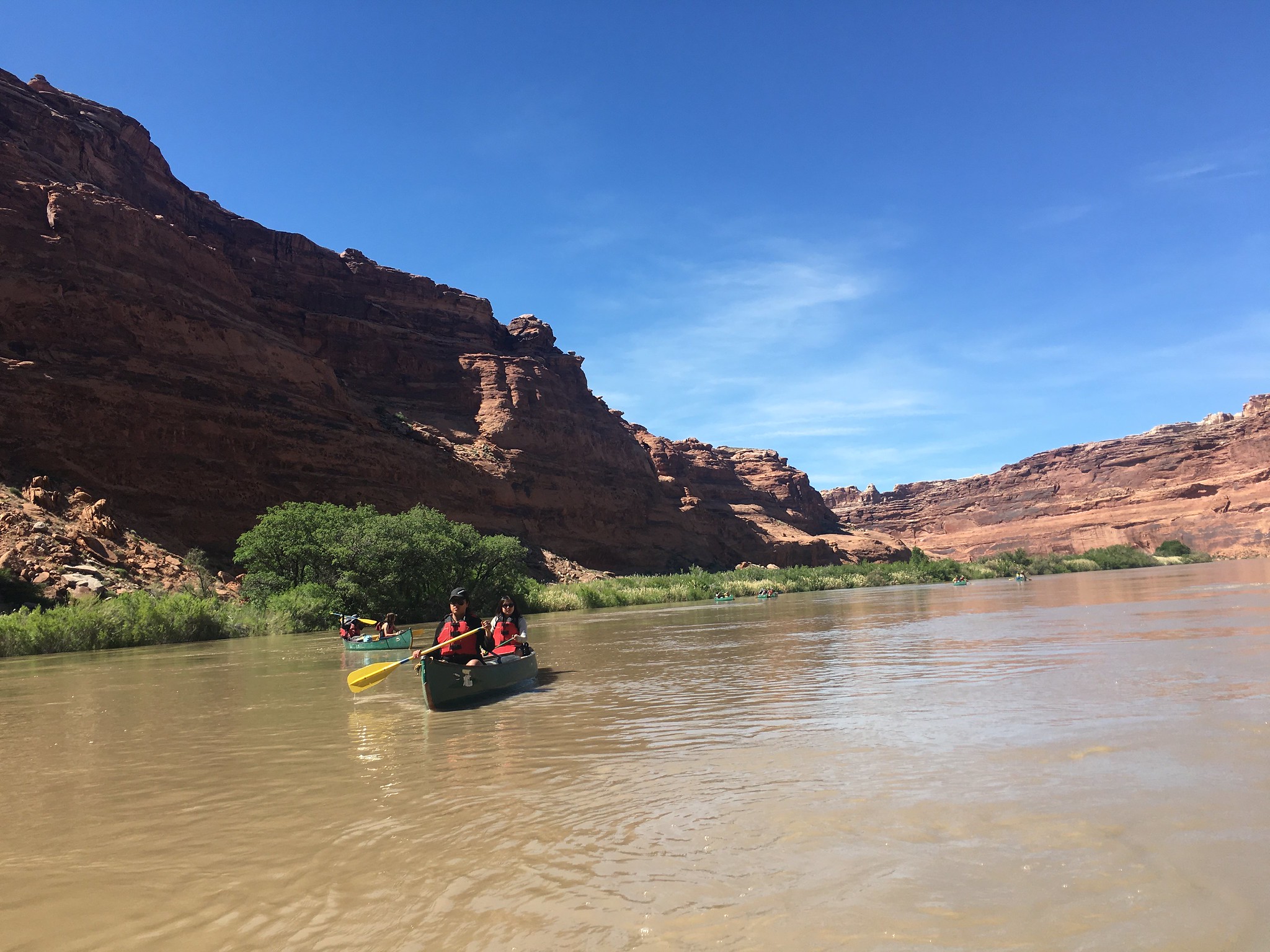 A group of people are paddling canoes downriver. There is current but no whitewater. They are wearing PFDs (personal floatation devices). In the background are sandstone canyon walls, and desert plants along the shoreline. 
